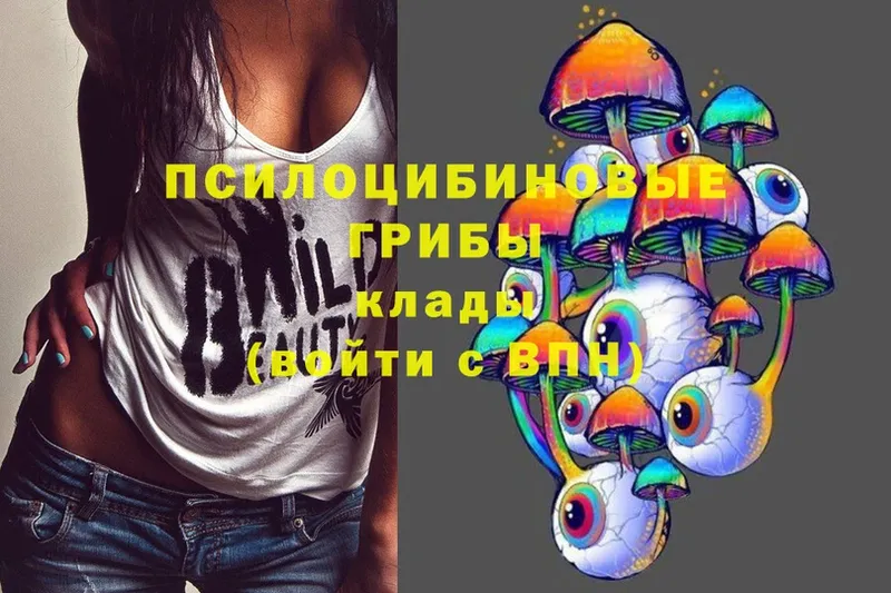 Галлюциногенные грибы Magic Shrooms  Ковылкино 