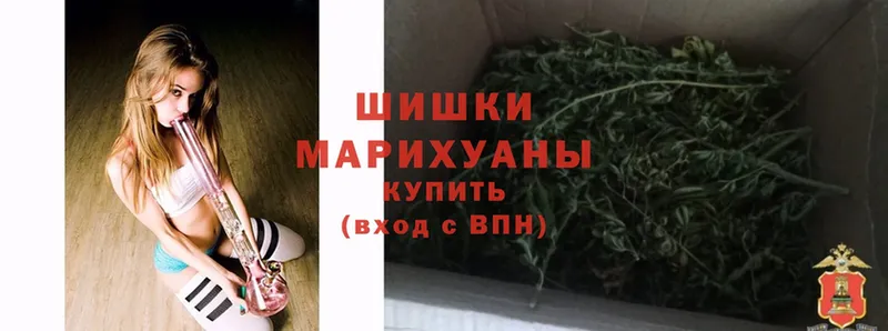 Бошки Шишки THC 21%  где купить наркоту  Ковылкино 